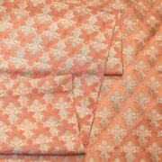Pure organza fabric with golden Zari jaal and soft hand-brushed dye highlights