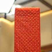Red net fabric with dense gold mukaish work